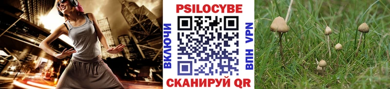 Галлюциногенные грибы Cubensis Новозыбков